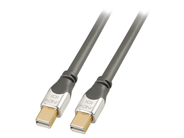 Lindy 36307, 2 m, Mini DisplayPort, Mini DisplayPort, Hankjønn, Hankjønn, 4096 x 2160 piksler