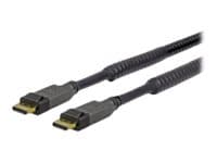 VivoLink Pro - DisplayPort-kaapeli - DisplayPort (uros) - DisplayPort (uros) - 20 m - kierretty pari