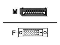 Sharkoon - Displayadapter - DisplayPort (hann) til DVI-D (hunn) - 15 cm - svart