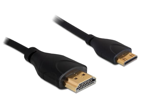 Delock High Speed HDMI with Ethernet - HDMI-kabel med Ethernet - HDMI hann til 19 pin mini HDMI Type C hann - 1 m