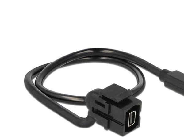 Delock - Påknipsbar mulighetsmodulfrontplate - mini-DisplayPort