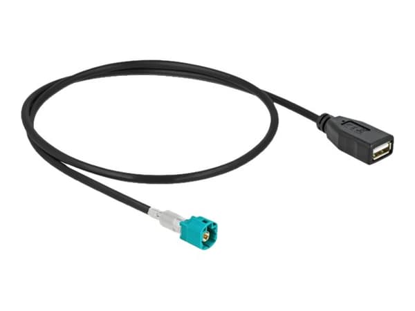 Delock - Datakabel - HSD Z hane till USB hona - 50 cm