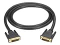 Miniatyrbilde 1 av 2: Black Box - DVI-kabel - dobbeltlenke - DVI-I (hann) til DVI-I (hann) - 1.5 m