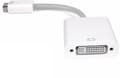 Miniatyrbilde 4 av 4: Qoltec - DVI-adapter - mini-DVI (hann) til DVI-I (hunn) - 17 cm
