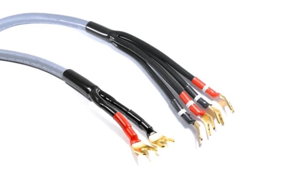 Melodika Widły - Widły-kabel 2,5m lilla
