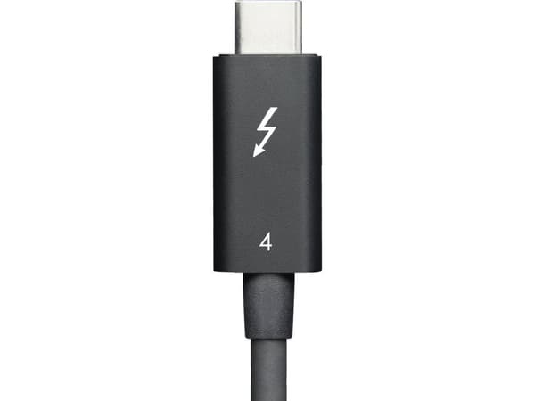 LINTES TAA200-E60 - Thunderbolt-kabel - 24 pin USB-C (hane) till 24 pin USB-C (hane) - Thunderbolt 4 - 2 m - aktiv