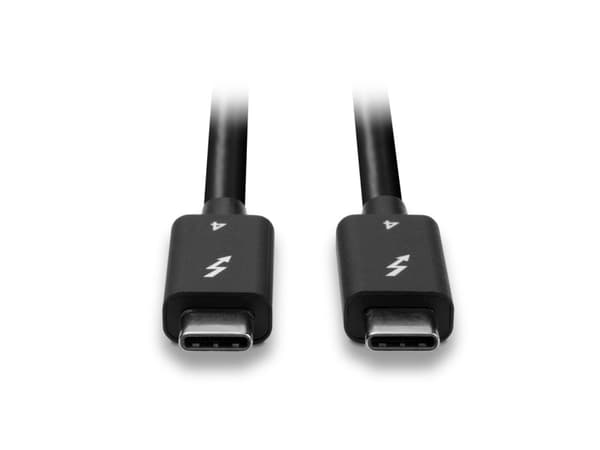 Lindy 31120, Hanstik, Hanstik, 1 m, musta, nikkeli/kulta, 40 Gbit/sek.