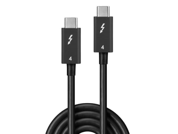 Lindy 31120, Hanstik, Hanstik, 1 m, musta, nikkeli/kulta, 40 Gbit/sek.