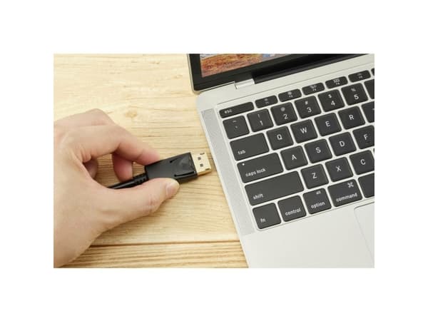 Renkforce RF-5245268, 2 m, DisplayPort, DisplayPort, Hankjønn, Hankjønn, 4096 x 2160 piksler