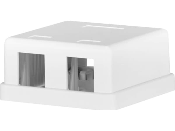 EFB Elektronik KEYSTONE BOX 2PORT SURF-MOUNTED, DIN