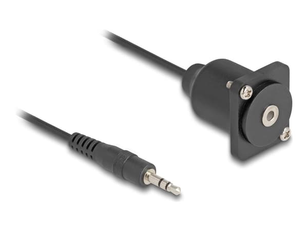 Delock - Lydforlengelseskabel - mini-phone stereo 3.5 mm hann til mini-phone stereo 3.5 mm hunn D-Type - 20 cm - svart