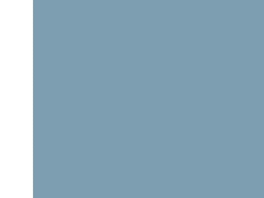 Phoenix RAD-PIG-RSMA/N-1, 1 m, 195, RSMA, Sort