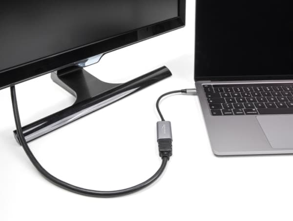 Delock - Hög hastighet - videokort - 24 pin USB-C hane till HDMI hona - 15 cm - grå/svart - 4K60 Hz (4096 x 2160) stöd, HDR-stöd, stöd för DP Alt-läg