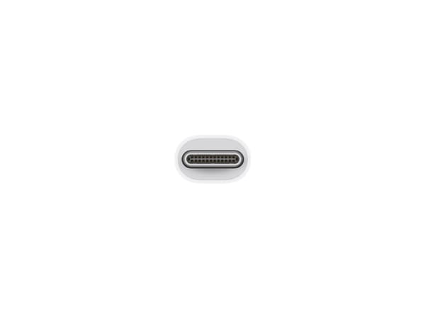 Apple - Thunderbolt-adapter - 24 pin USB-C (hann) til Mini DisplayPort (hunn) - toretnings