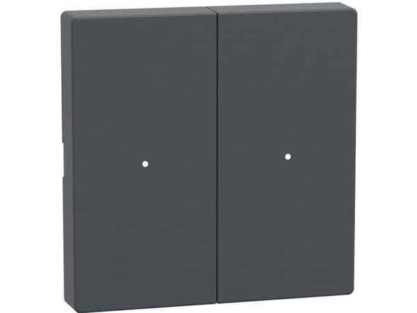 Schneider Electric MTN625214 PLC-tilbehør