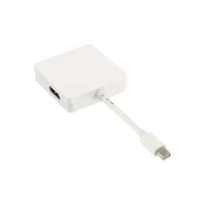 InLine 17195I - uros/naaras - Mini DisplayPort - HDMI / DVI / DisplayPort - valkoinen (17195I)