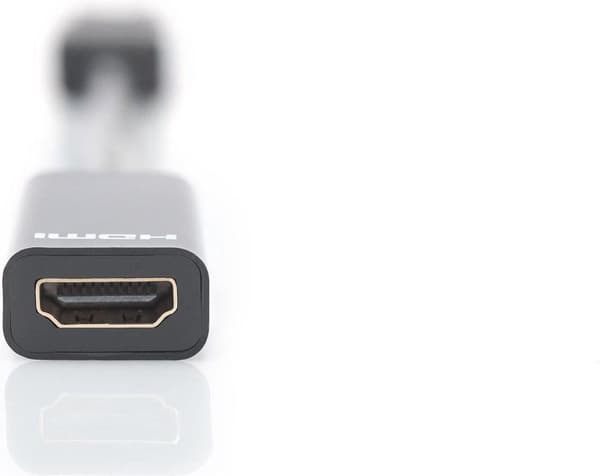 Digitus AK-340400-001-S DisplayPort / HDMI-adapter [1x DisplayPort-stik - 1x HDMI-stik] Sort 15,00 cm