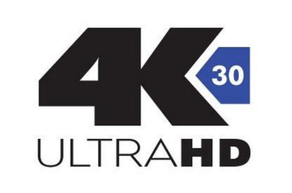 Delock 62667 HDMI / DisplayPort Adapter [1x HDMI-stik - 1x DisplayPort-stik] Sorte guldbelagte stikkontakter, Med ferritkerne 25,00 cm