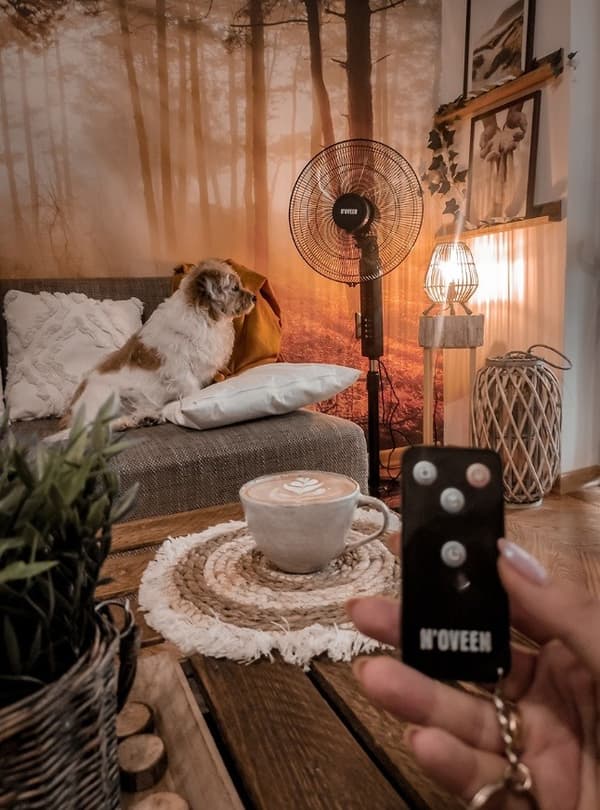 N'OVEEN F455 16"/40 cm stående ventilator med fjernbetjening, Sort