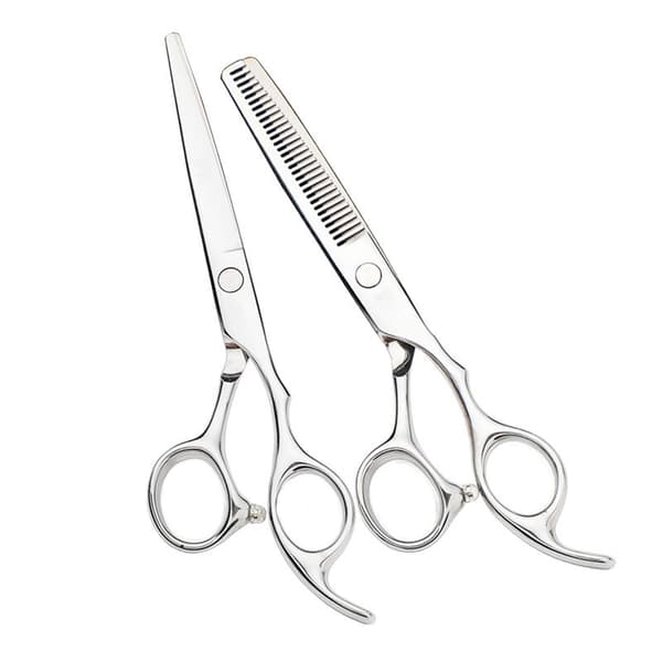 Professional hairdressing scissors and thinning scissors with case Lyx