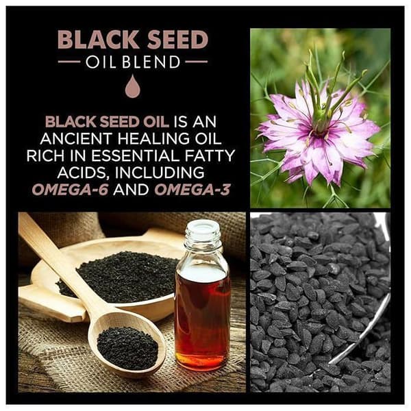 Farouk chi black seed oil fön kräm 177 ml