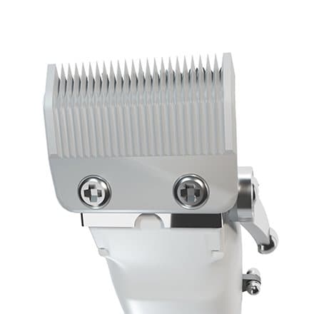 Adler | Proffesional Hair clipper | AD 2831 | Cordless or corded | Number of length steps 6 | Silver