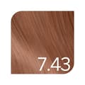 Miniatyrbild 1 av 2: Revlon Young Color Excel 7,43 Medium Copper Golden Blonde - Toning
