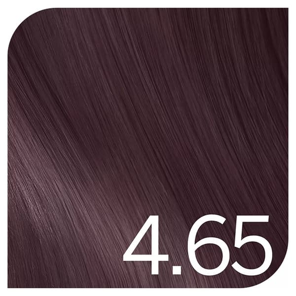 Revlon Young Color Excel 4,65 Deep red - Toning