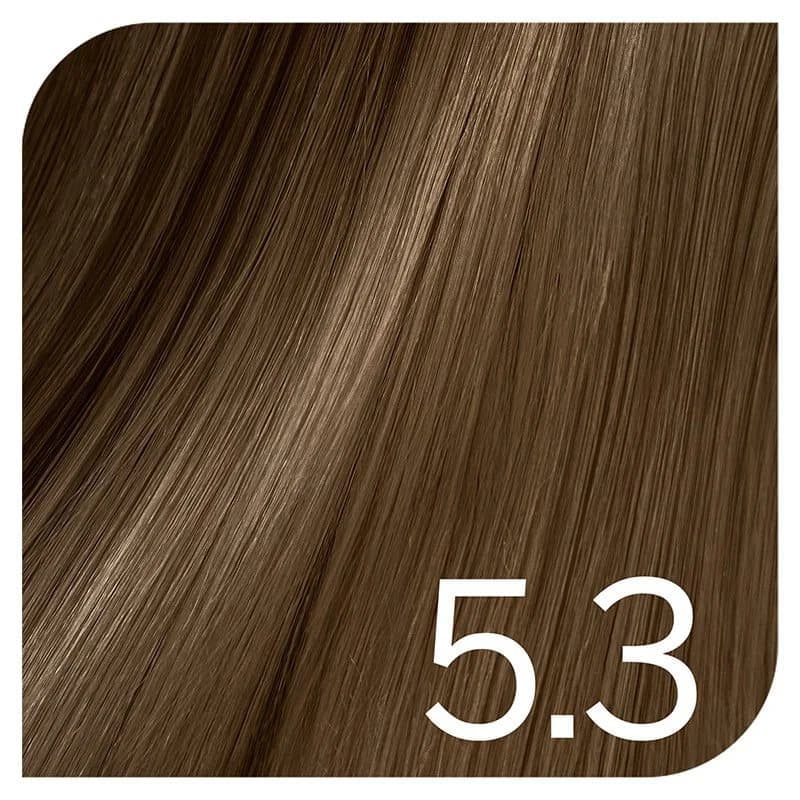Revlon Young Color Excel 5,3 Golden Chestnut