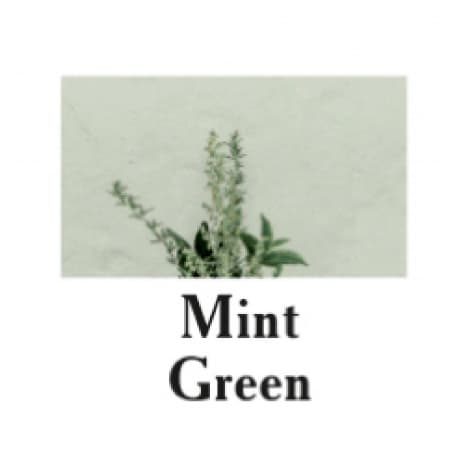 Cutrin Cutrin AURORA Direct Dyes Mint Green 100ml - Pigment Inpackning