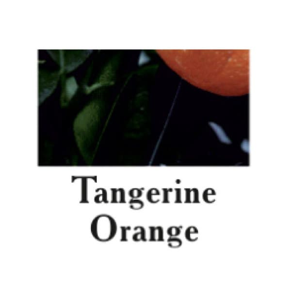 Cutrin Cutrin AURORA Direct Dyes Tangerine Orange 100ml - Pigment Inpackning