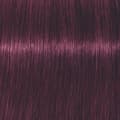 Miniatyrbild 1 av 3: Schwarzkopf Professional Igora Vibrance Kit 6-99 Dark Blonde Violet Extra