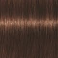 Miniatyrbild 2 av 2: Schwarzkopf Professional Igora Vibrance Kit 5-57 Light Brown Gold Copper