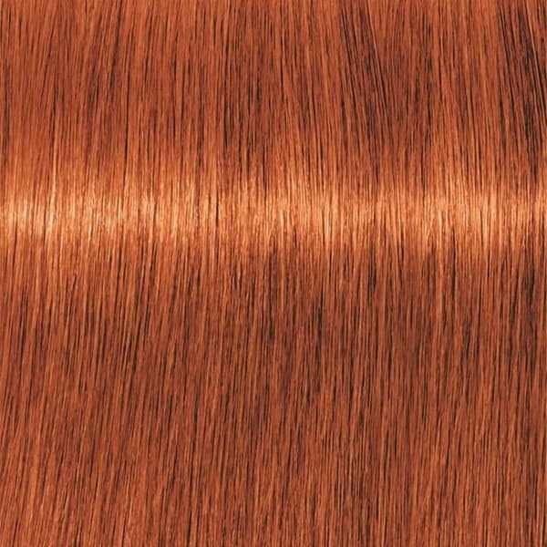 Schwarzkopf Professional Igora Vibrance Kit 7-77 Medium Blonde Copper Extra