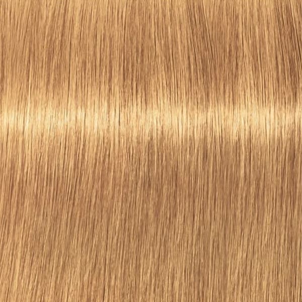 Schwarzkopf Professional Igora Vibrance Kit 9-55 Extra Light Blonde Gold Extra