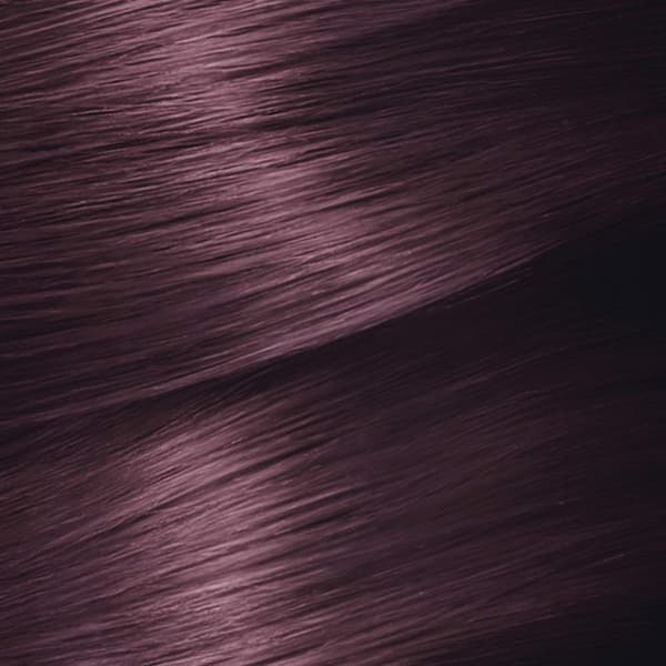 Permanent färg Garnier Nutrisse Cassis Nº 4,26