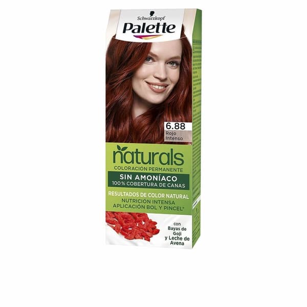 Pysyvä väriaine Palette Natural Schwarzkopf - 5.0 - light chestnut