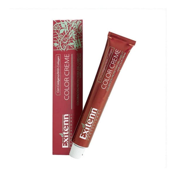 Pysyvä väriaine Color Creme Exitenn Nº 670 Chocolate Ibiza (60 ml)