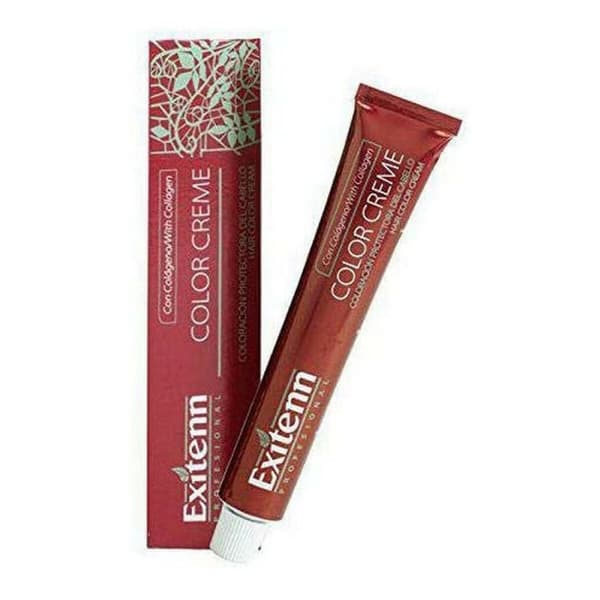 Permanent färg Color Creme Exitenn Color Creme Nº V87 (60 ml)
