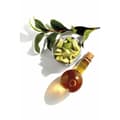 Miniatyrbilde 5 av 7: Permanent hårfarge - krem Garnier Nutrisse (3 enheter)