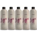 Miniatyrbilde 2 av 2: Lakme® Color Developer 28V 8,4 % 1000 ml