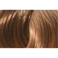 Miniatyrbillede 2 af 2: L'ANZA® Healing Color 6GC (6/34) Lys gylden kobberbrun 60 ml