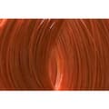 Miniatyrbild 2 av 2: L'ANZA® Healing Color Hårfärg 7C (7/4) Mörk Kopparblond 60ml