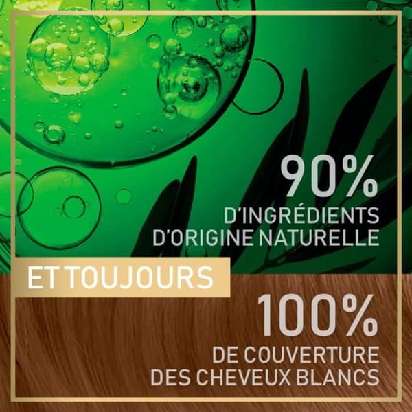 GARNIER Belle Color Naturals Permanent hårfärg - Ammoniakfri - 63 Naturlig mörk gyllene blond