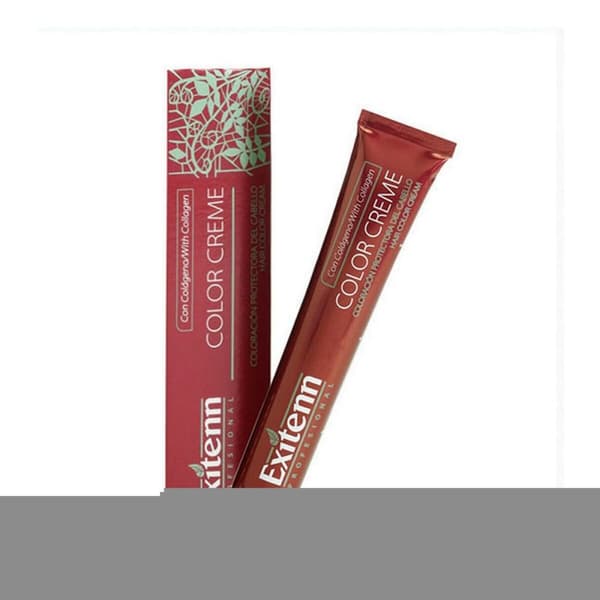 Permanent Farve Color Creme Exitenn Nº 800 Light Blonde Honey Sahara (60 ml)