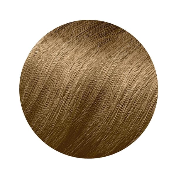 Phytocolor #8.3-light golden blonde Phyto 4 units