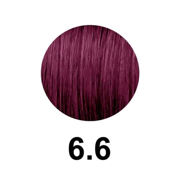 Revlon pro du färgtillverkaren 6.6/6r