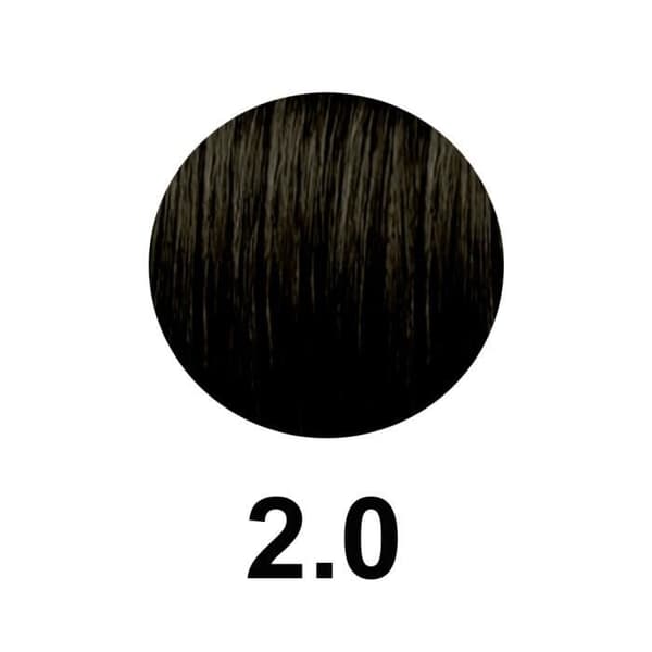 Revlon pro you the color maker 2.0/2n