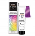 Miniatyrbild 1 av 7: CHANTAL COLOR ART Hårtoner LILA - 100ml