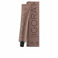 Miniatyrbild 2 av 11: Permanent färg Igora Royal Schwarzkopf - 0-99 - 60 ml